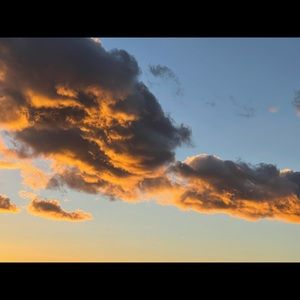 Meet your Posher, Alicia